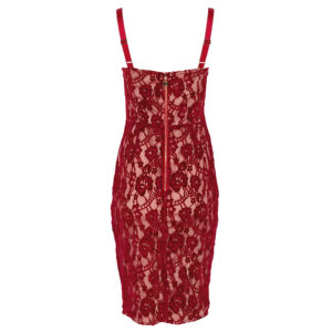 AB21127E2_AU2-01 Κόκκινο Δαντελωτό Βελουτέ Φόρεμα Elisabetta Franchi