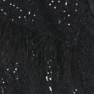 2236005_BLK-02 Mini Μαύρο Φόρεμα Παγιέτα Με Φτερά c-throu