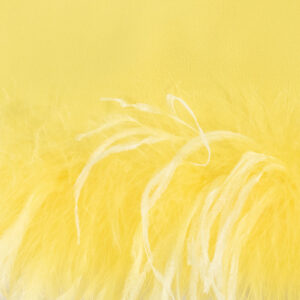 102949A1RJ_H17-02 Trebbiano Mini Κίτρινο Φόρεμα Με Φτερά pinko