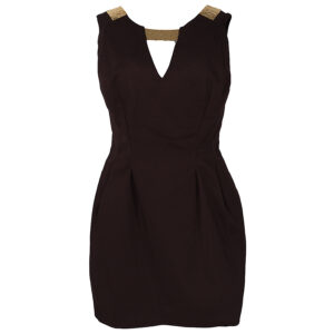 Γυναικείο Φόρεμα Αμάνικο mini Elisabetta Franchi Καφέ